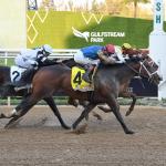 Commandment Edges The Puma in Florida Derby Photo Finish